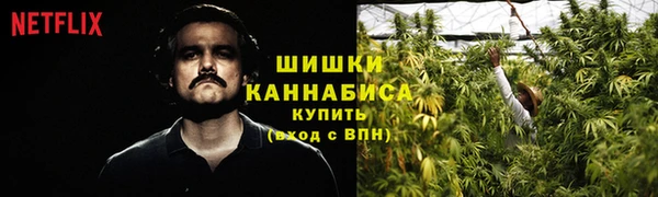 соль ск Переславль-Залесский