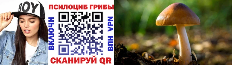 Галлюциногенные грибы мицелий Горячий Ключ
